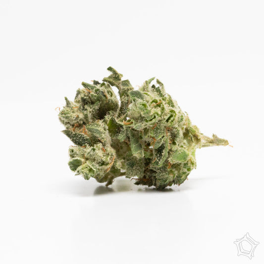 Sticky Icky Glue (Indica)