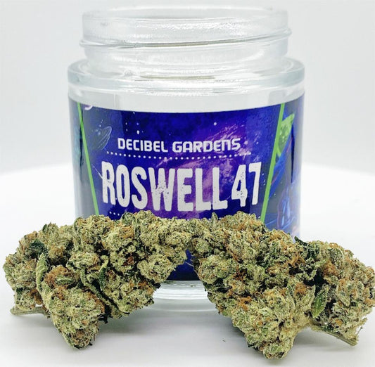 Decibel Gardens Rosswell 47 3.5G