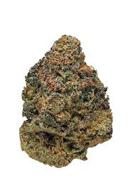 Fruit Punch (Hybrid)