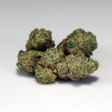 English Cream (hybrid)