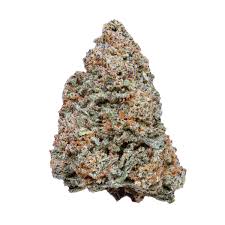 Gorilla Mac 1 (hybrid)