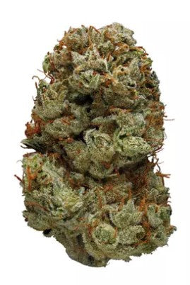 Northern Haze (sativa)