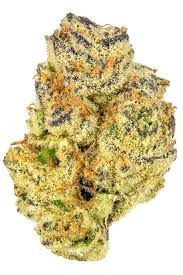 Purple Cream *EXOTIC SMALLS (Indica)